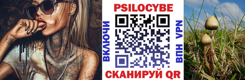 блэк спрут tor  Менделеевск  Галлюциногенные грибы мухоморы 